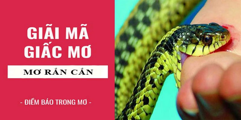 Nằm mơ thấy rắn cắn dưới nước